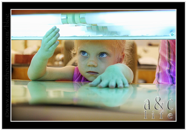 CBPedi-024 CBPedi-024